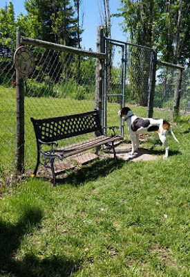 Merry Mutts Play Yard, LLC