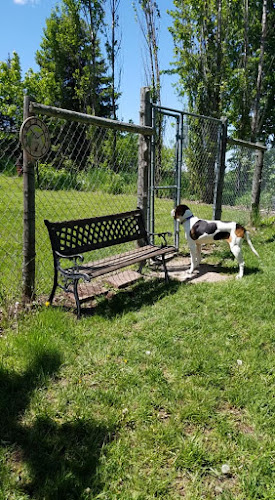 Merry Mutts Play Yard, LLC