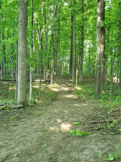Cass City Public Park - Cass City,