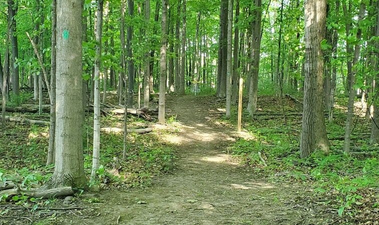 Cass City Public Park - Cass City,