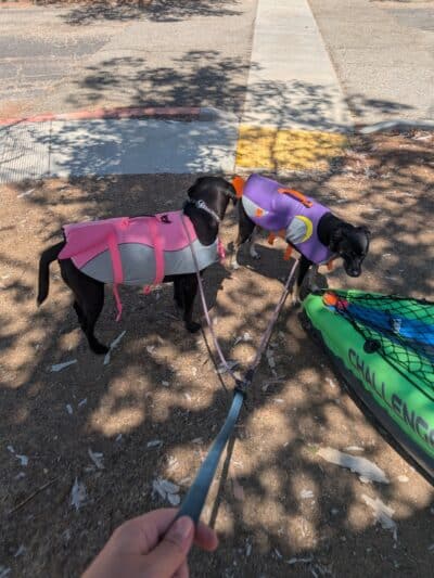 Castaic Lake State Recreation Area - Castaic, CA
