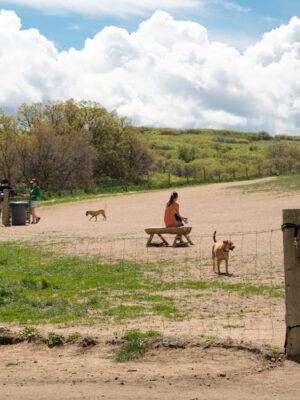 Glendale Open Space Trail