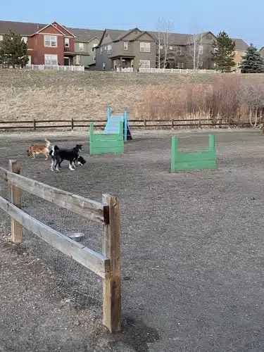 Wiggly Field Dog Park