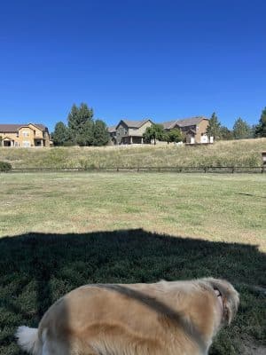 Wiggly Field Dog Park - Castle Rock, CO