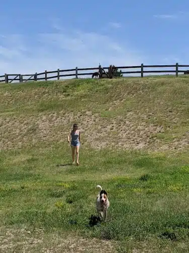 Wiggly Field Dog Park