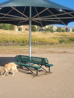 Wiggly Field Dog Park - Castle Rock, CO
