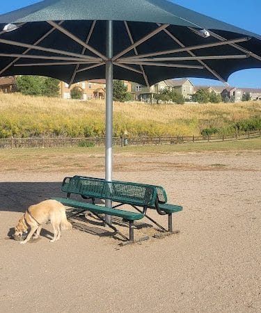 Wiggly Field Dog Park