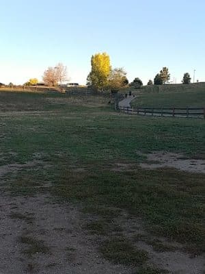 Wiggly Field Dog Park - Castle Rock, CO