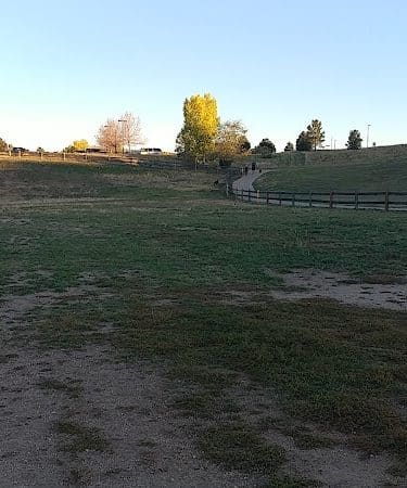 Wiggly Field Dog Park