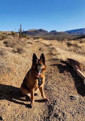Cave Creek Regional Park