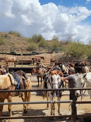 Cave Creek Regional Park