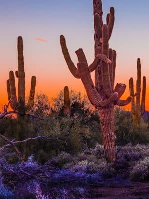 Cave Creek Regional Park Campgrounds