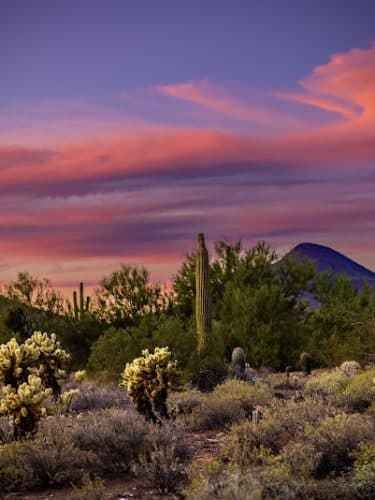 Cave Creek Regional Park Campgrounds