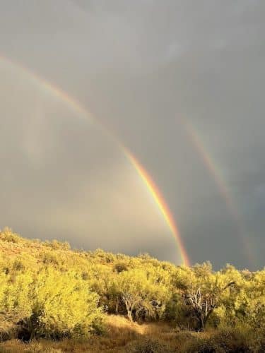 Cave Creek Regional Park Campgrounds