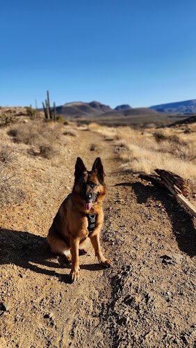 Cave Creek Regional Park