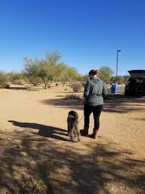 Desert Broom Park