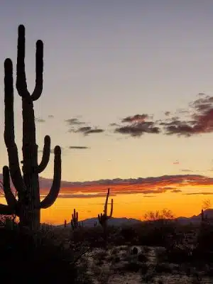 Desert Willow Park