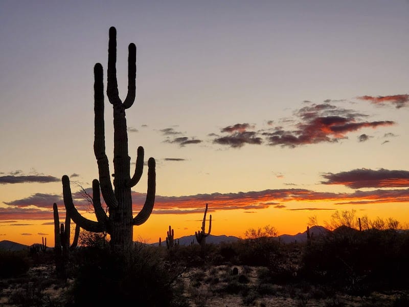 Desert Willow Park - Cave Creek, AZ