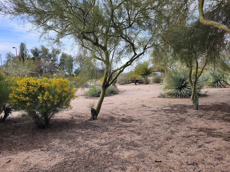Desert Willow Park - Cave Creek, AZ