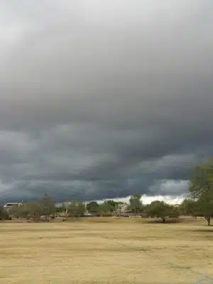 Desert Willow Park