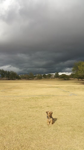 Desert Willow Park