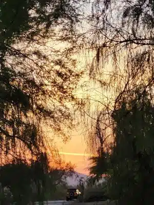 Desert Willow Playground