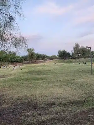 Desert Willow Playground