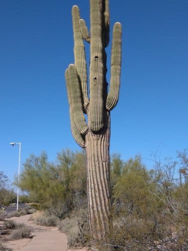 Dove Valley Park