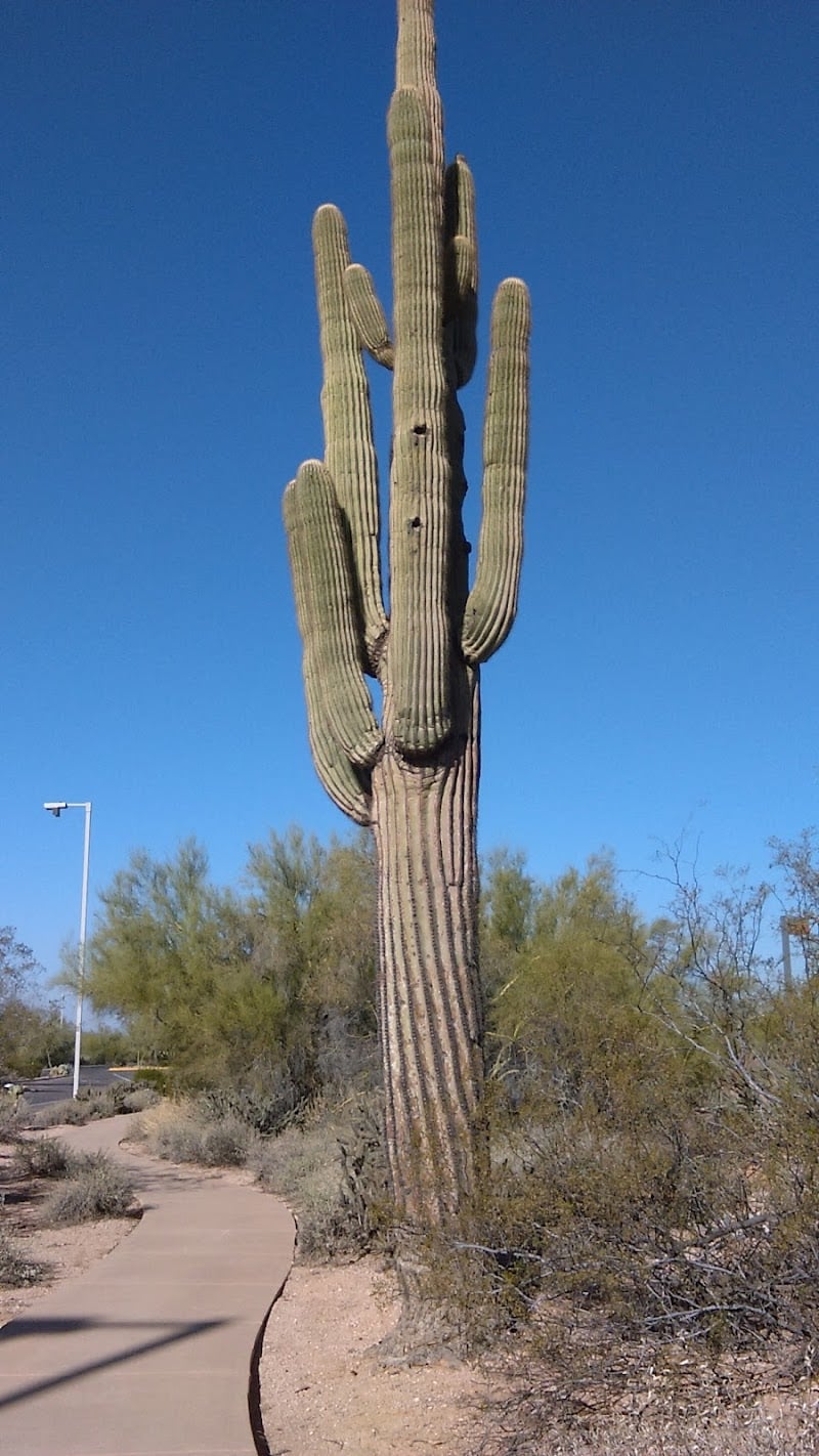 Dove Valley Park - Cave Creek, AZ