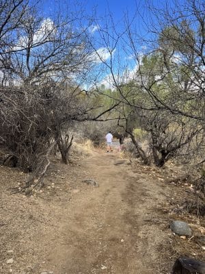 Dragonfly Trail