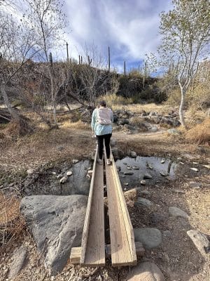 Dragonfly Trail