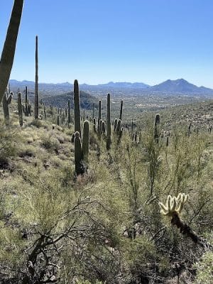 Spur Cross Ranch Conservation