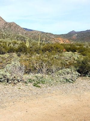 Spur Cross Ranch Conservation