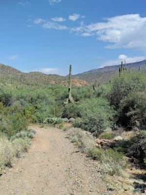 Spur Cross Ranch Conservation