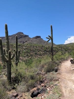 Spur Cross Ranch Conservation