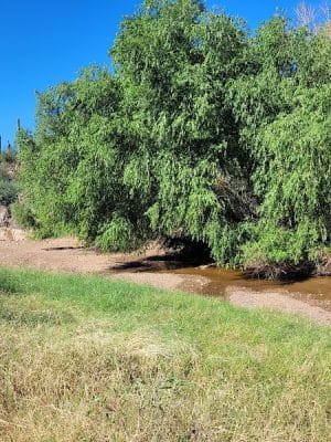 Spur Cross Ranch Conservation