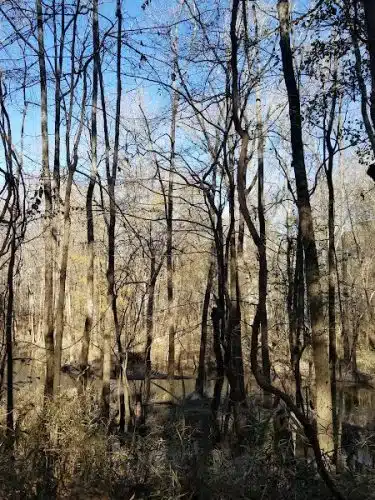 Cayce Riverwalk, Phase 4 Access