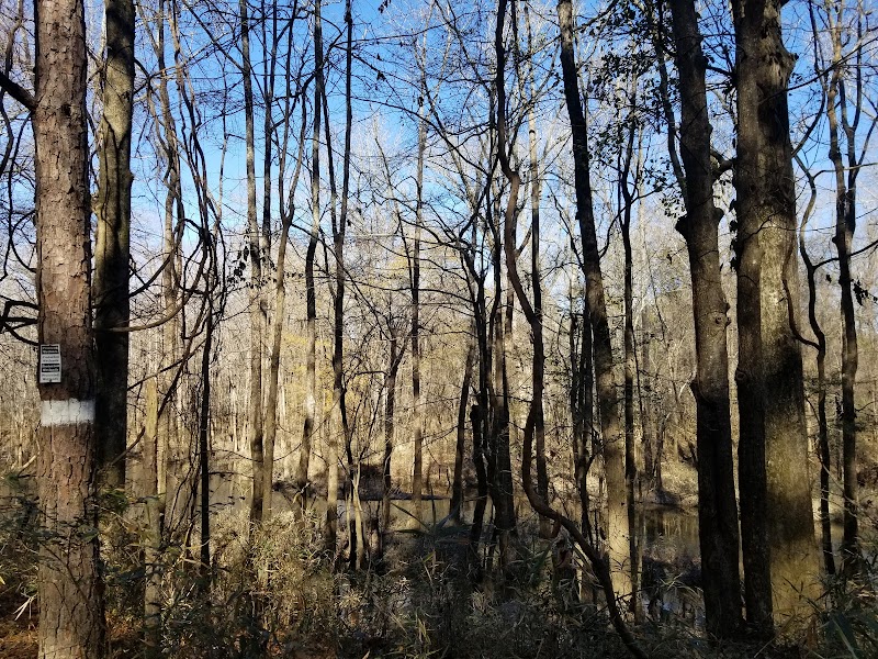 Cayce Riverwalk, Phase 4 Access - Cayce, SC