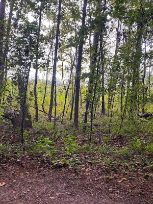 Cayce Riverwalk, Phase 4 Access