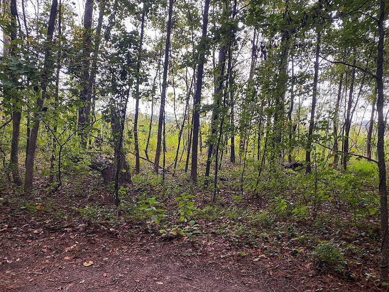 Cayce Riverwalk, Phase 4 Access - Cayce, SC