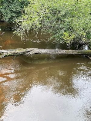 Cayce Riverwalk, Phase 4 Access