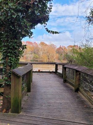 Cayce Riverwalk Picnic Shelter