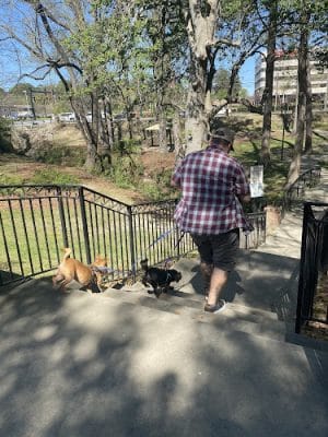 Guignard Park