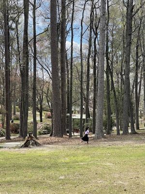 Guignard Park