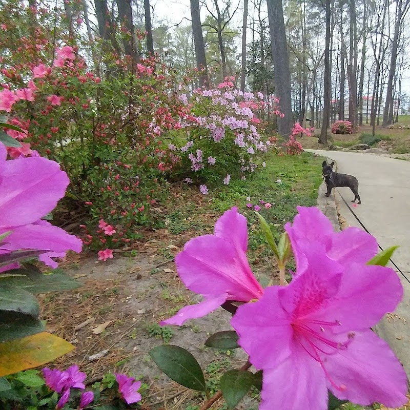 Guignard Park - Cayce, SC