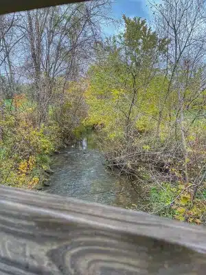 Cedar Falls Paw Park