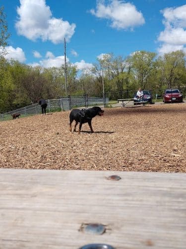 Cedar Falls Paw Park