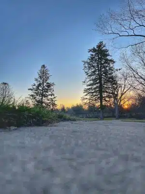 Cedar Falls Paw Park