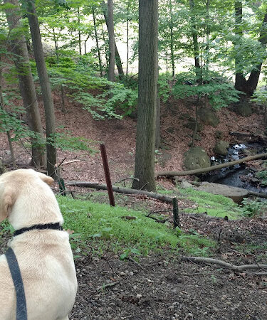 Cedar Grove Community Park