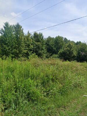 Cedar Hill Swamp WMA